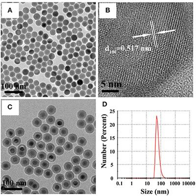 The Bioavailability, Biodistribution, and Toxic Effects of Silica-Coated Upconversion Nanoparticles in vivo